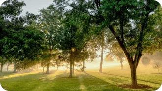 dia-mundial-de la-reduccion-co2