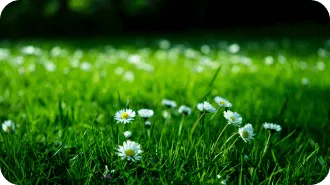 Impacto-de-las-energías-renovables-en-el-medioambiente-card