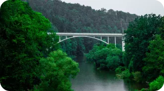 Puente en naturaleza