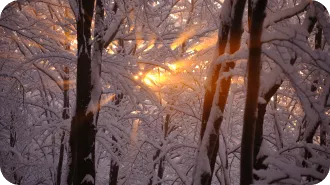 luz en invierno